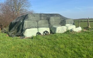 PHOTO-2026-02-26-15-04-11