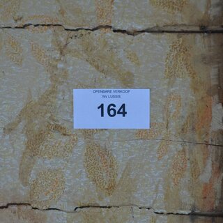 164_1