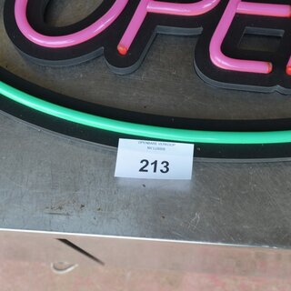 213_1