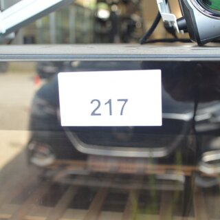 217_1