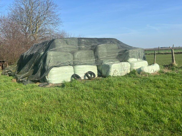 PHOTO-2026-02-26-15-04-11