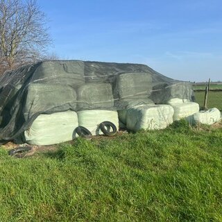 PHOTO-2026-02-26-15-04-17 (2)