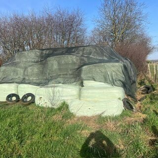 PHOTO-2026-02-26-15-04-17 (3)