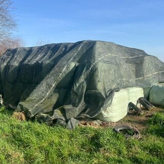 PHOTO-2026-02-26-15-04-17 (4)